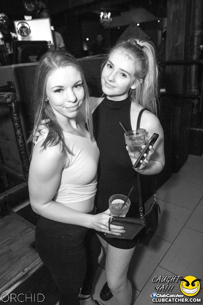 Orchid nightclub photo 56 - September 7th, 2019