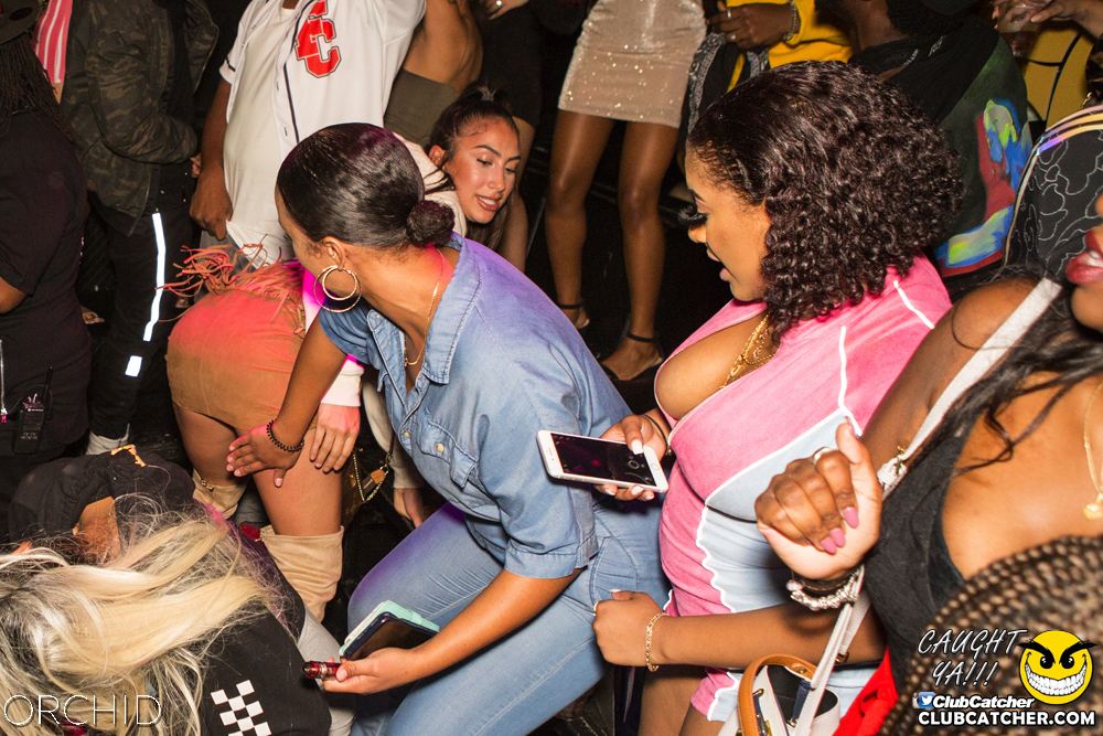 Orchid nightclub photo 58 - September 7th, 2019