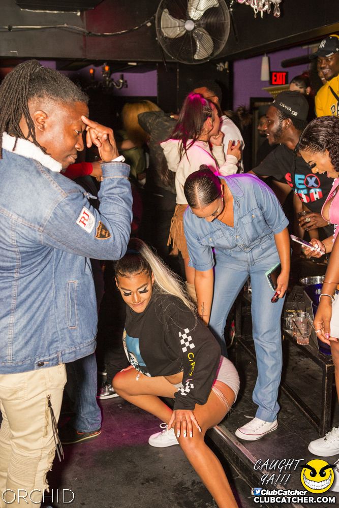 Orchid nightclub photo 59 - September 7th, 2019