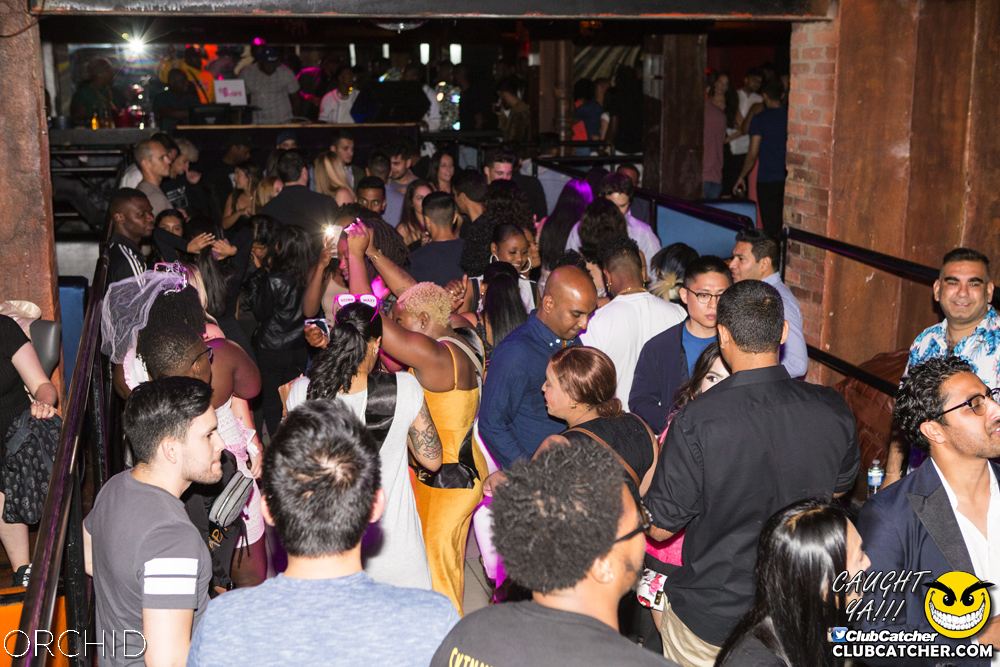Orchid nightclub photo 61 - September 7th, 2019