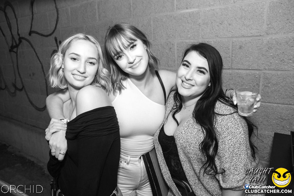 Orchid nightclub photo 62 - September 7th, 2019