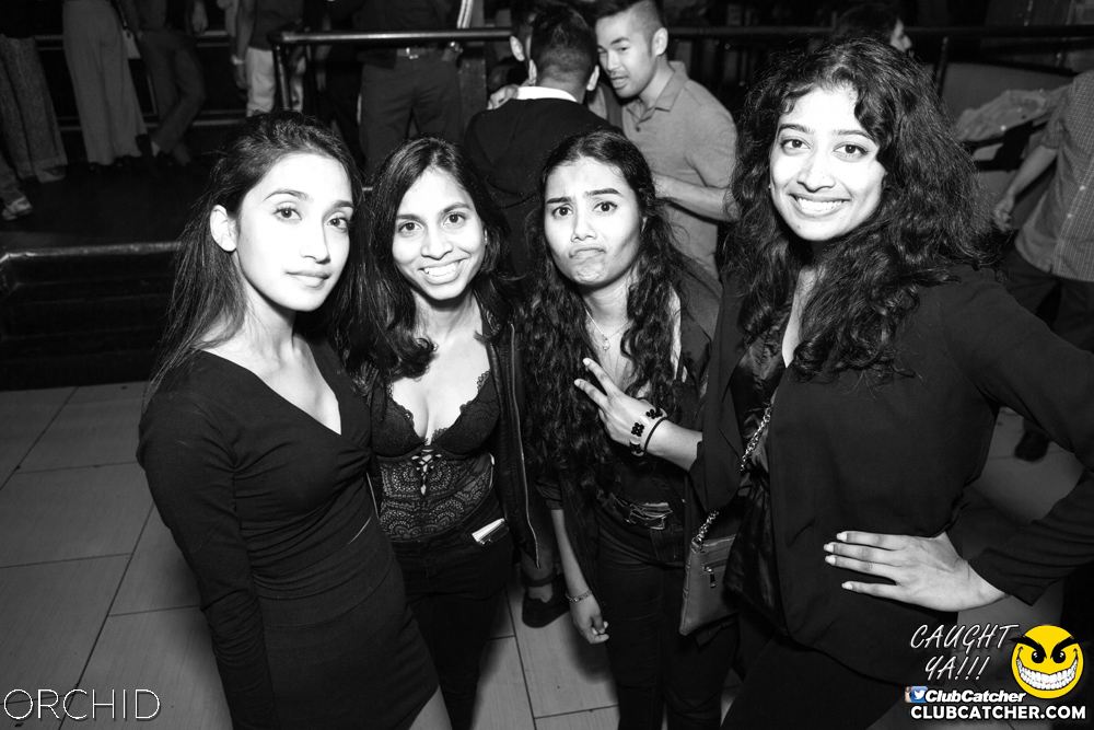 Orchid nightclub photo 66 - September 7th, 2019