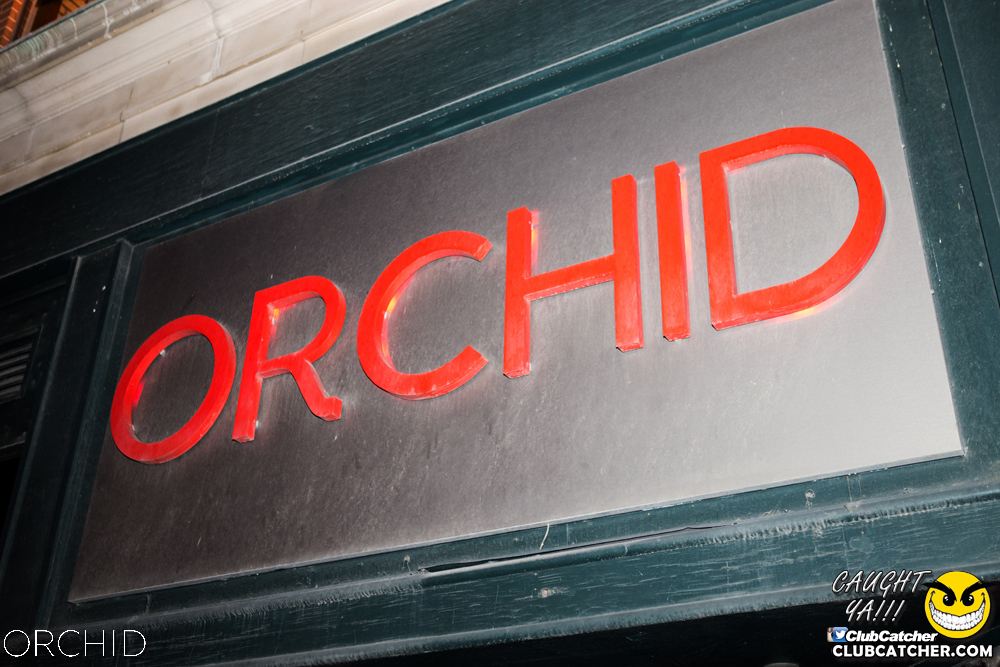 Orchid nightclub photo 67 - September 7th, 2019