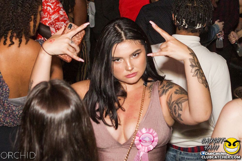 Orchid nightclub photo 8 - September 7th, 2019