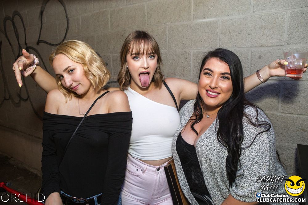 Orchid nightclub photo 71 - September 7th, 2019