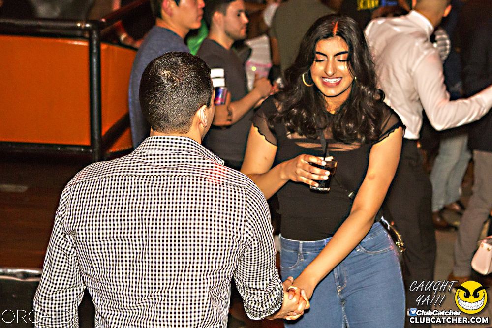 Orchid nightclub photo 72 - September 7th, 2019