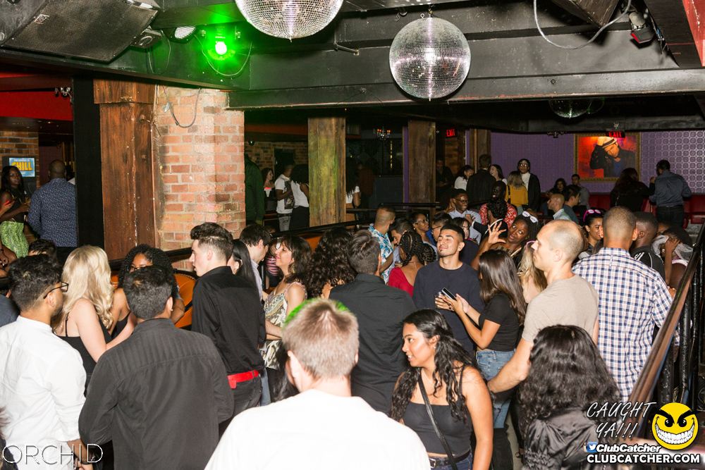 Orchid nightclub photo 74 - September 7th, 2019