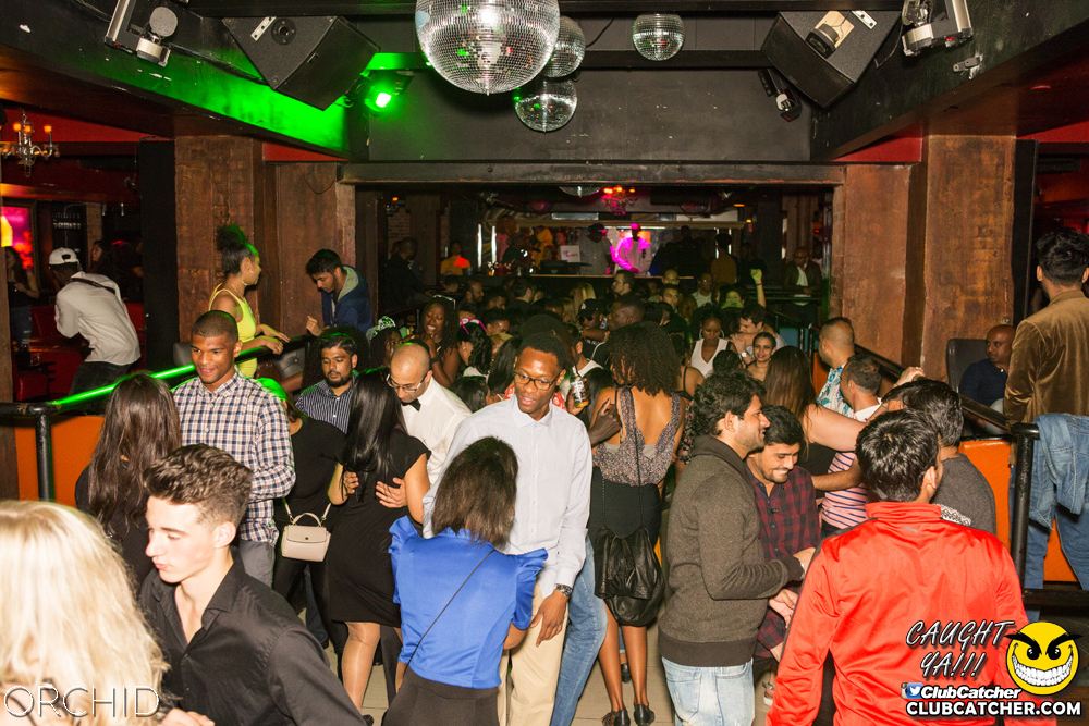 Orchid nightclub photo 75 - September 7th, 2019