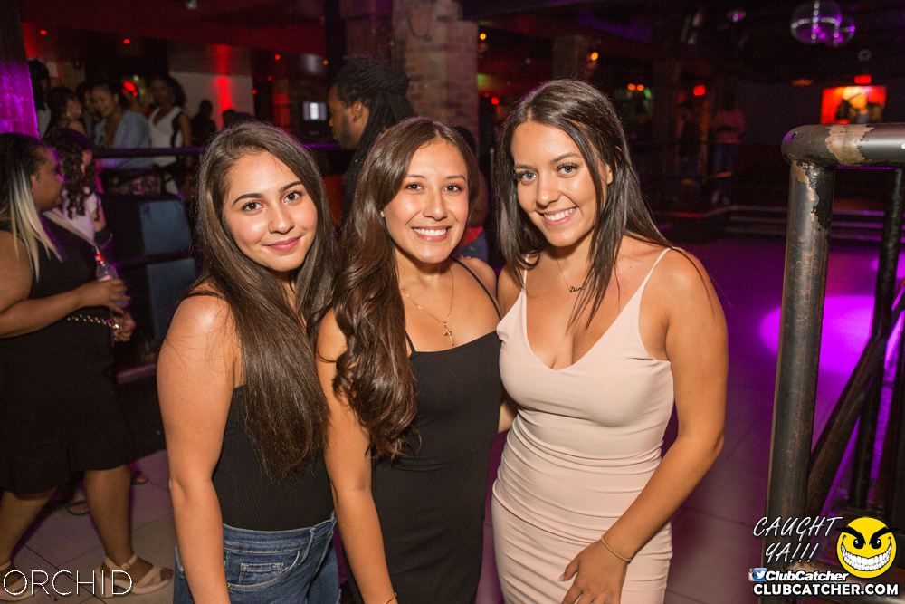 Orchid nightclub photo 78 - September 7th, 2019