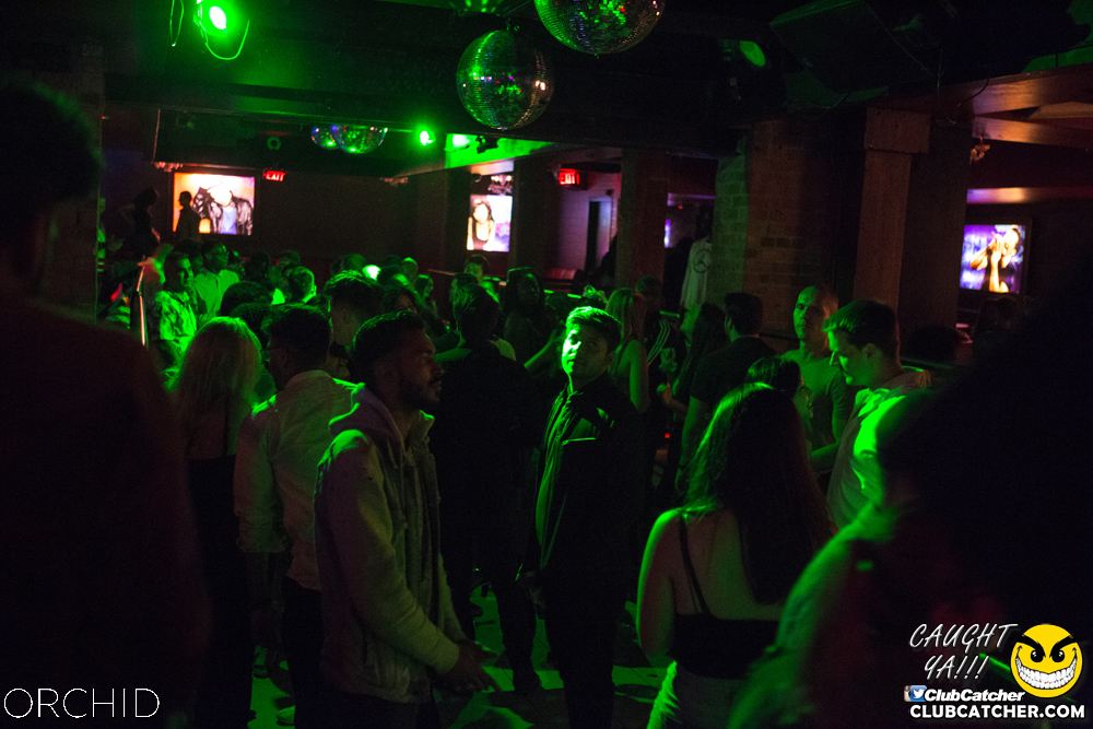 Orchid nightclub photo 80 - September 7th, 2019