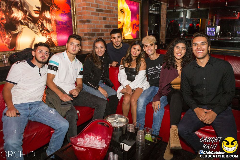 Orchid nightclub photo 81 - September 7th, 2019
