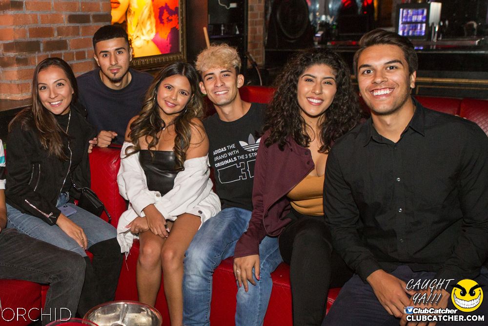 Orchid nightclub photo 84 - September 7th, 2019