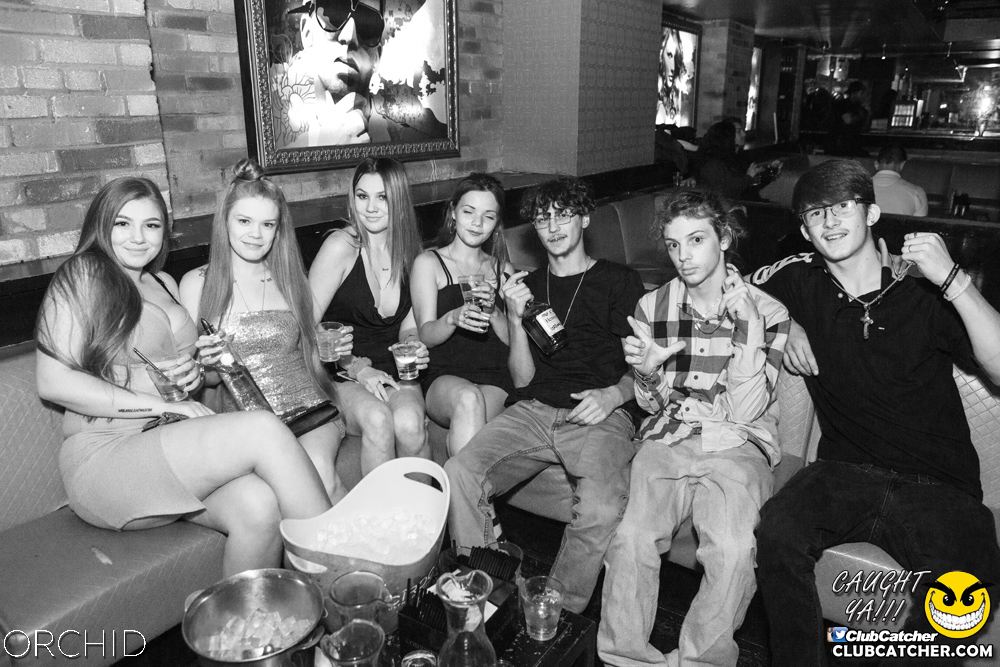 Orchid nightclub photo 86 - September 7th, 2019