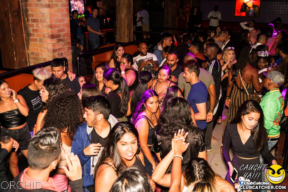 Orchid nightclub photo 87 - September 7th, 2019
