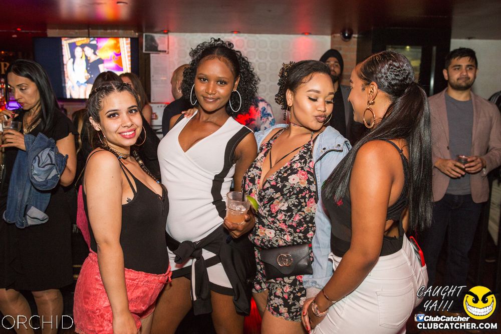 Orchid nightclub photo 10 - September 7th, 2019