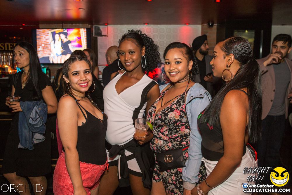 Orchid nightclub photo 91 - September 7th, 2019