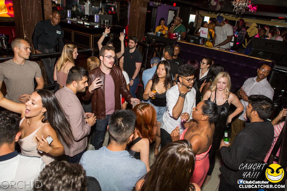 Orchid nightclub photo 93 - September 7th, 2019
