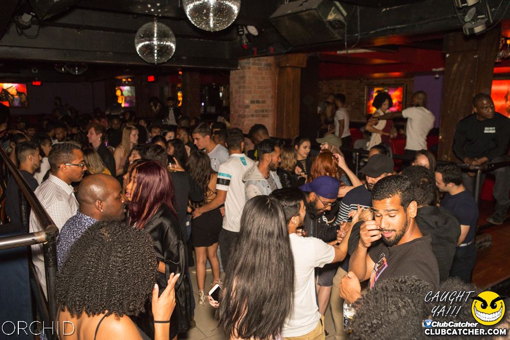 Orchid nightclub photo 95 - September 7th, 2019