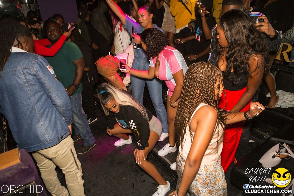Orchid nightclub photo 97 - September 7th, 2019
