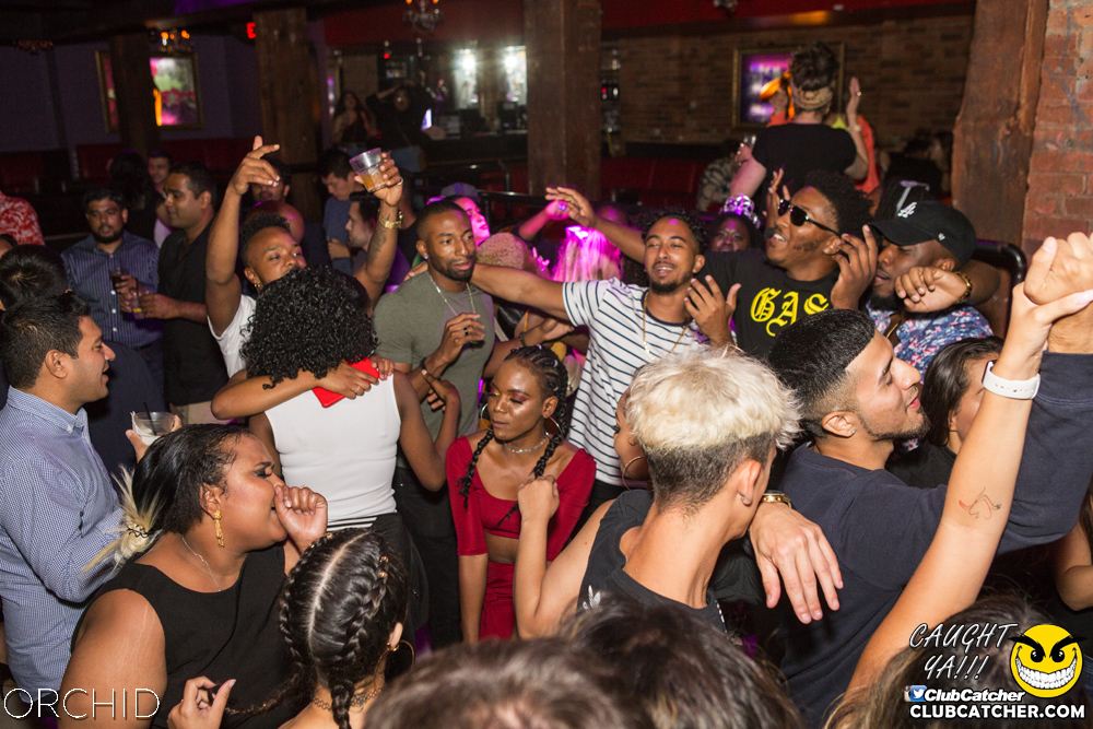 Orchid nightclub photo 98 - September 7th, 2019