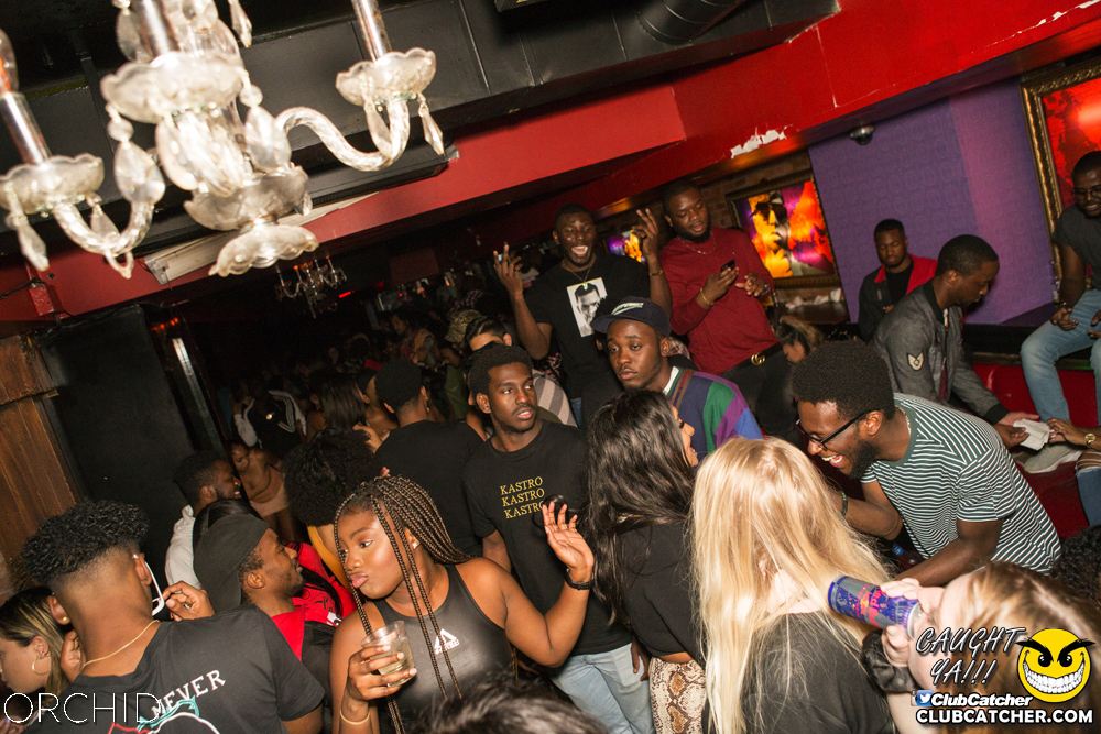 Orchid nightclub photo 104 - September 14th, 2019