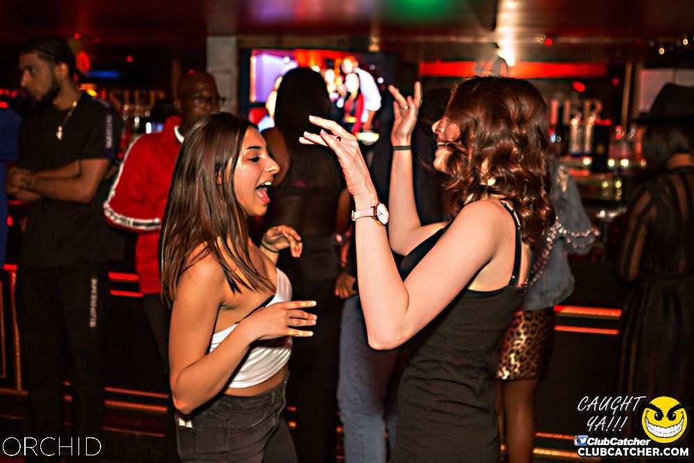 Orchid nightclub photo 105 - September 14th, 2019