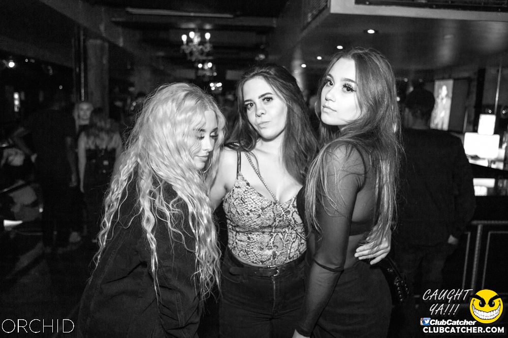 Orchid nightclub photo 108 - September 14th, 2019