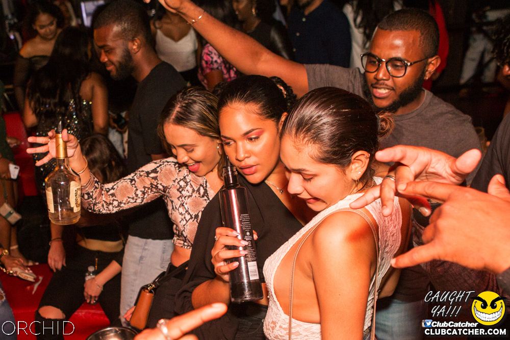 Orchid nightclub photo 109 - September 14th, 2019
