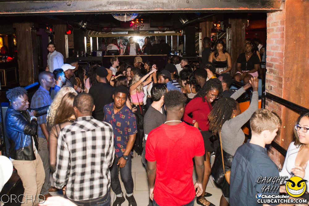 Orchid nightclub photo 110 - September 14th, 2019