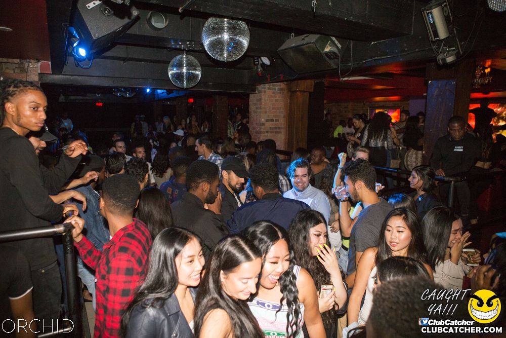 Orchid nightclub photo 12 - September 14th, 2019