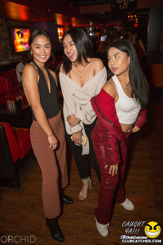 Orchid nightclub photo 113 - September 14th, 2019