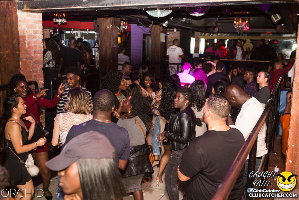 Orchid nightclub photo 114 - September 14th, 2019