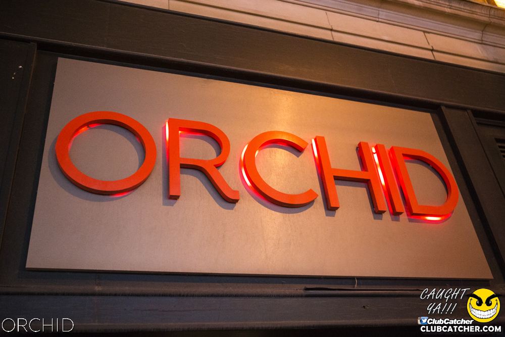 Orchid nightclub photo 116 - September 14th, 2019