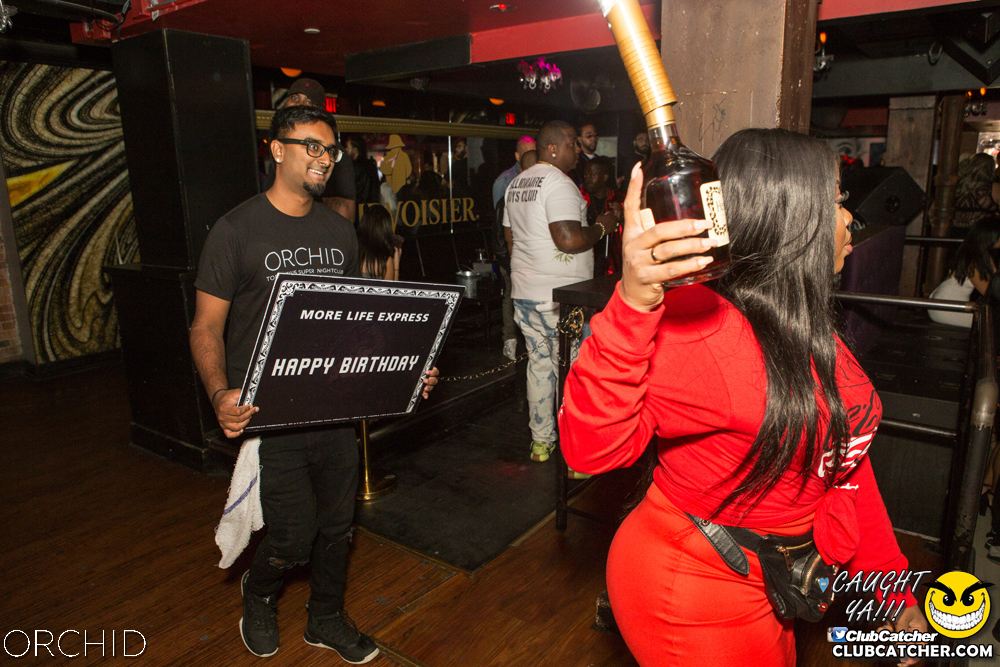 Orchid nightclub photo 118 - September 14th, 2019