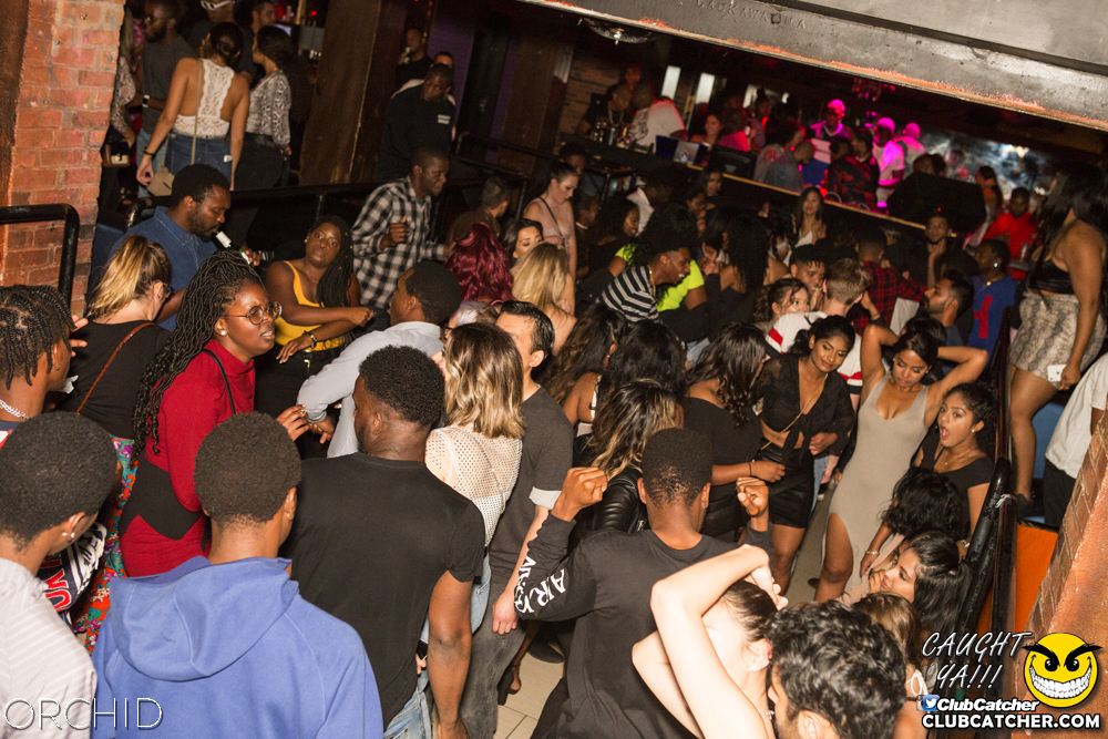 Orchid nightclub photo 120 - September 14th, 2019