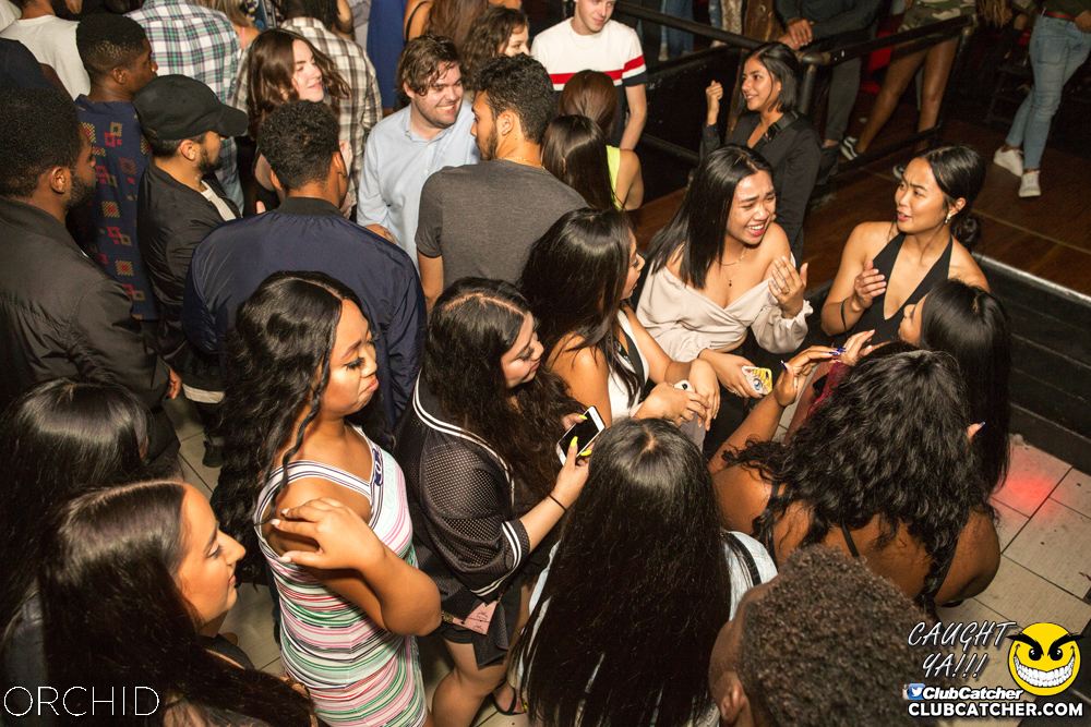 Orchid nightclub photo 123 - September 14th, 2019