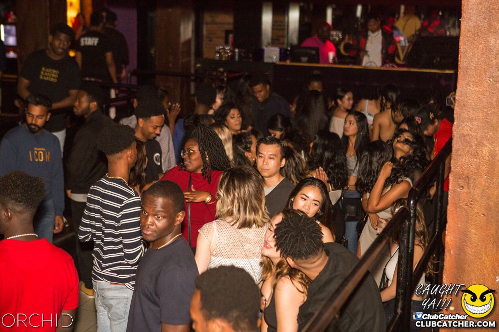 Orchid nightclub photo 124 - September 14th, 2019