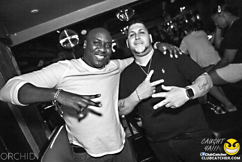 Orchid nightclub photo 127 - September 14th, 2019