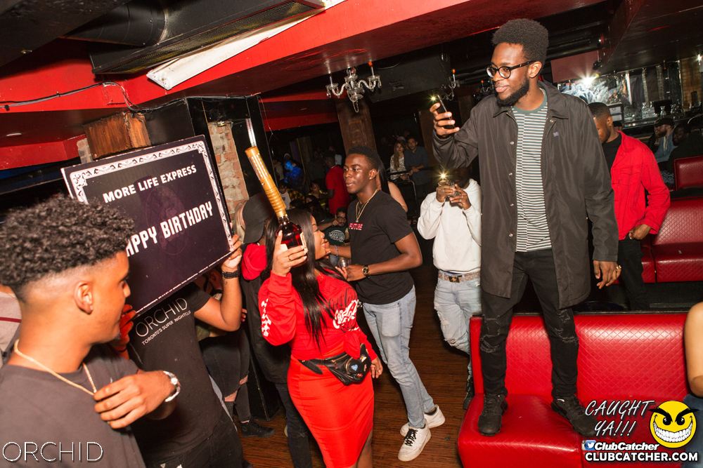 Orchid nightclub photo 138 - September 14th, 2019