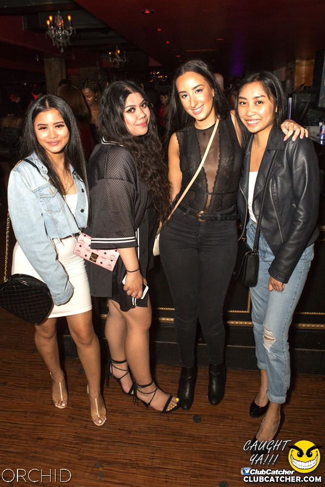 Orchid nightclub photo 140 - September 14th, 2019