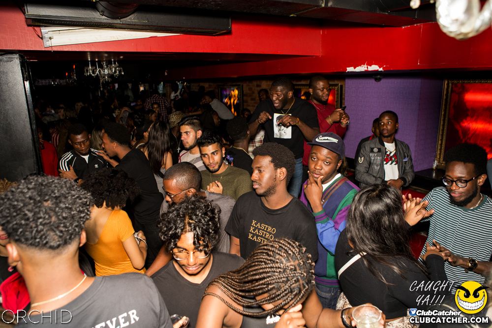 Orchid nightclub photo 141 - September 14th, 2019