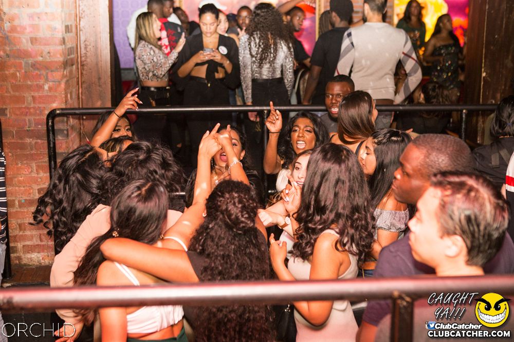 Orchid nightclub photo 143 - September 14th, 2019