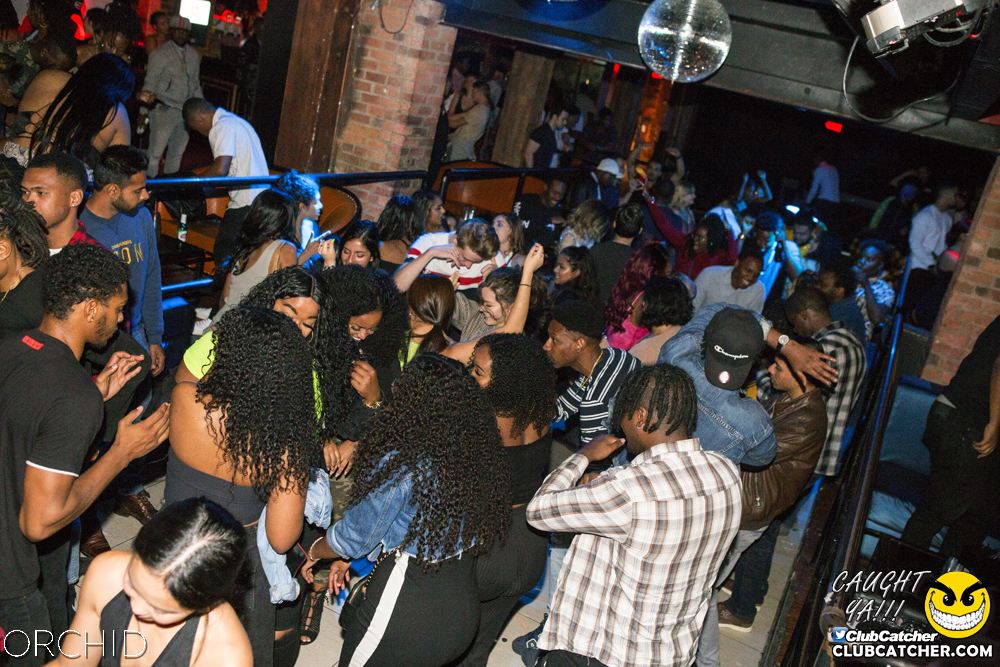 Orchid nightclub photo 150 - September 14th, 2019