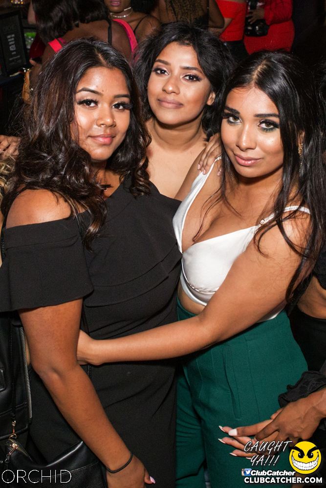 Orchid nightclub photo 155 - September 14th, 2019