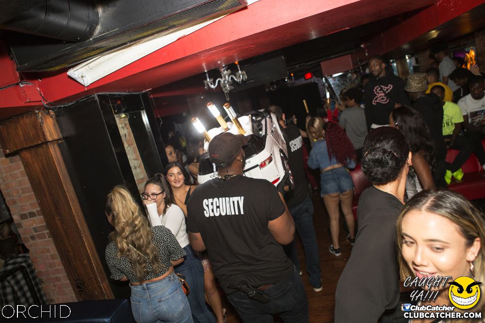Orchid nightclub photo 159 - September 14th, 2019