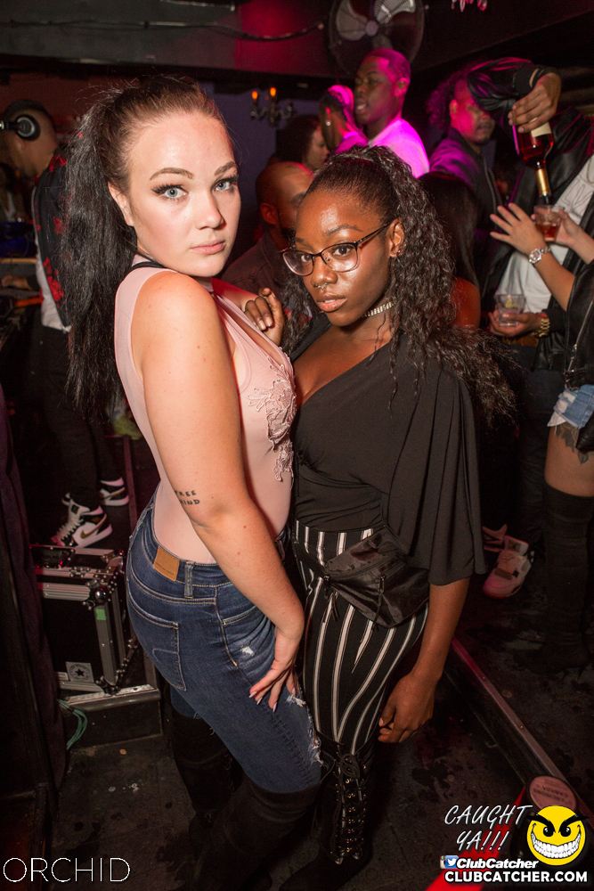Orchid nightclub photo 17 - September 14th, 2019