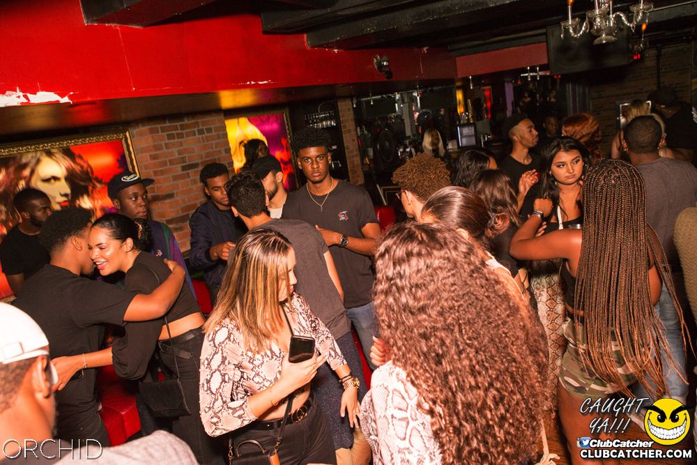 Orchid nightclub photo 19 - September 14th, 2019