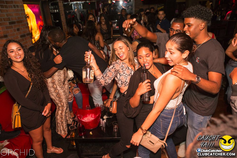 Orchid nightclub photo 21 - September 14th, 2019