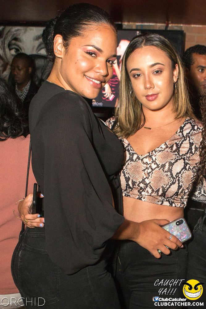 Orchid nightclub photo 24 - September 14th, 2019