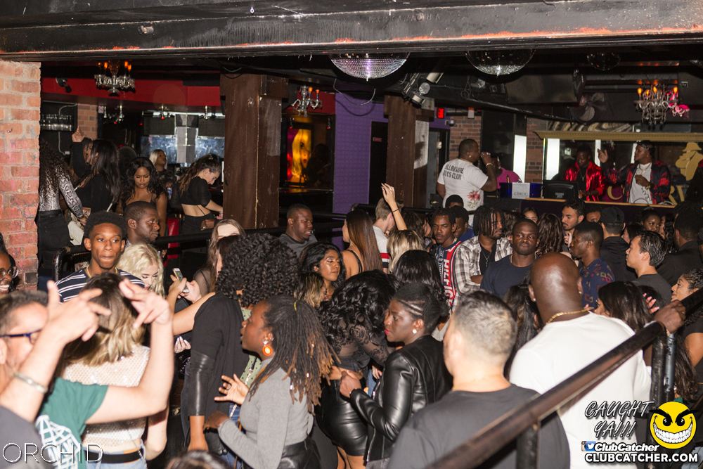 Orchid nightclub photo 28 - September 14th, 2019